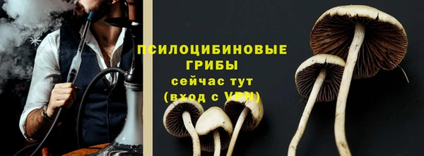 ГАЛЛЮЦИНОГЕННЫЕ ГРИБЫ Богданович