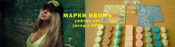ГАЛЛЮЦИНОГЕННЫЕ ГРИБЫ Богданович