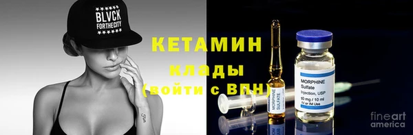 ГАЛЛЮЦИНОГЕННЫЕ ГРИБЫ Богданович