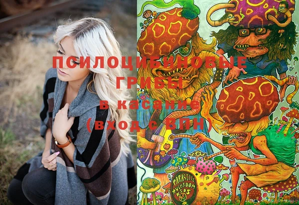ГАЛЛЮЦИНОГЕННЫЕ ГРИБЫ Богданович