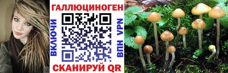 Купить закладки Ефремов Галлюциногенные грибы мицелий
