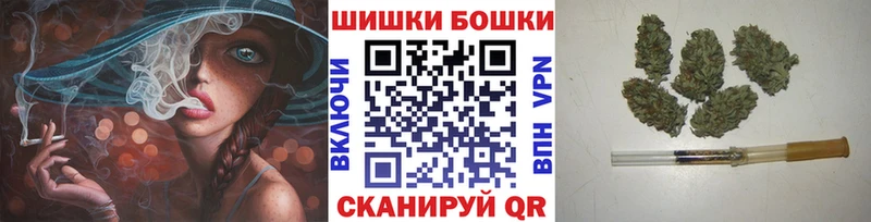 Купить закладки  Ефремов  Шишки марихуана Amnesia 